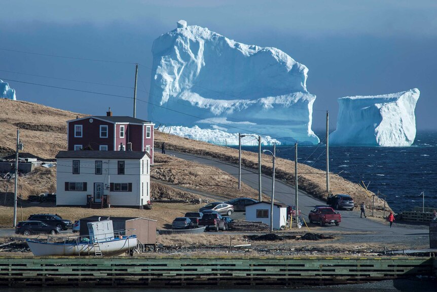 A large iceberg dwarfs seaside houses near Ferryland on Canada's east coast.