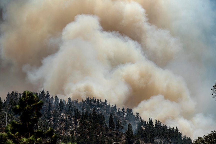 El humo se eleva desde el ardiente Dixie Fire a lo largo de la Interestatal 70 en el Bosque Nacional Plumas, California.