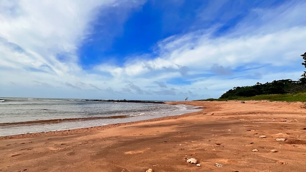 A remote beach with a bush headland in the distance.