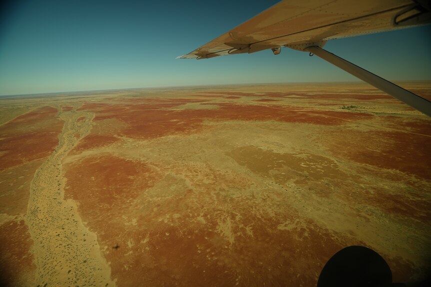 Aerial shot of red desert