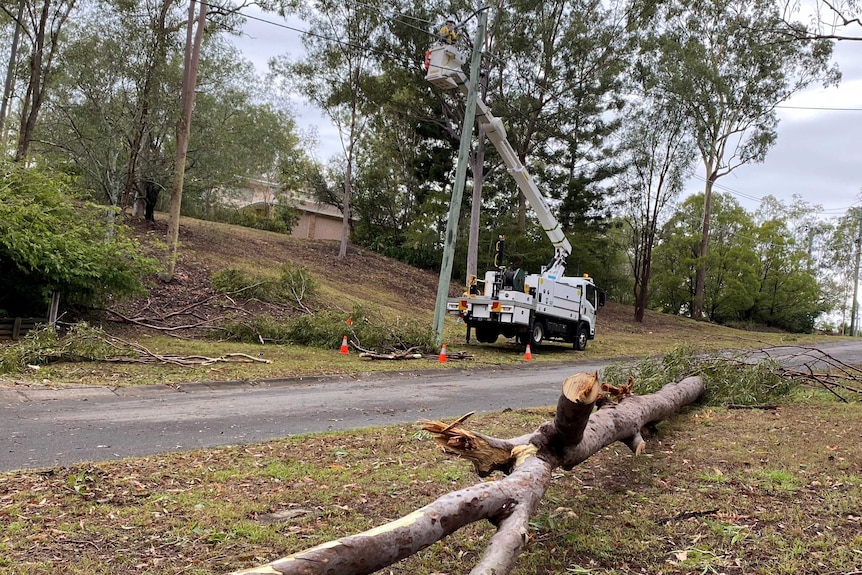 Energex workers fix powerlines with fallen trees nearby.