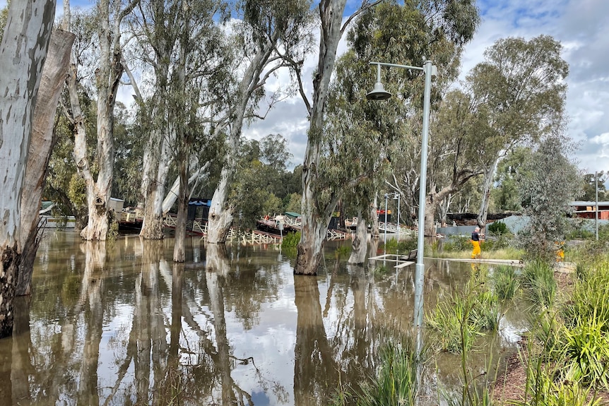 Floodwaters.