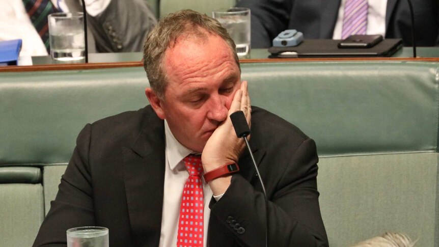 Former Nationals leader Barnaby Joyce during Question Time, with his eyes closed and resting on his hand.