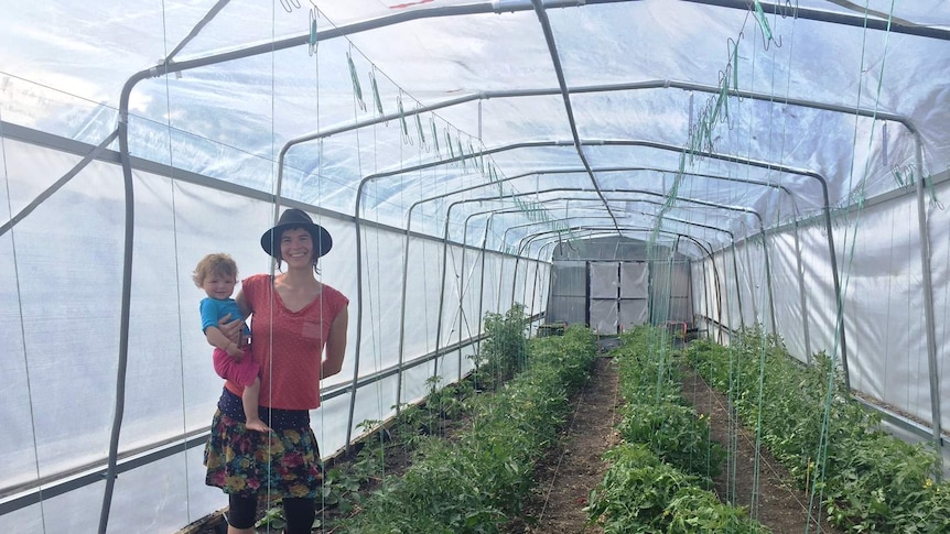 A woman with a baby on her hip stands in a growing shed beside tomato bushes.