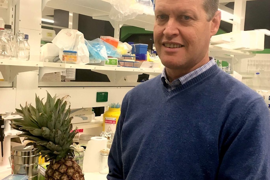 Professor Robert Pike holding a pineapple