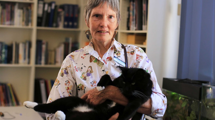 High School teacher Louise Davy her cat Bagheera