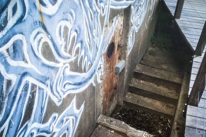 Bunker door near cement stairs.