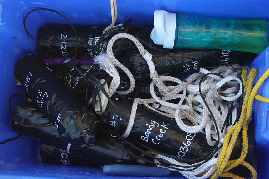 Acoustic receivers are wrapped in tape and sitting in a box with rope and a drink bottle