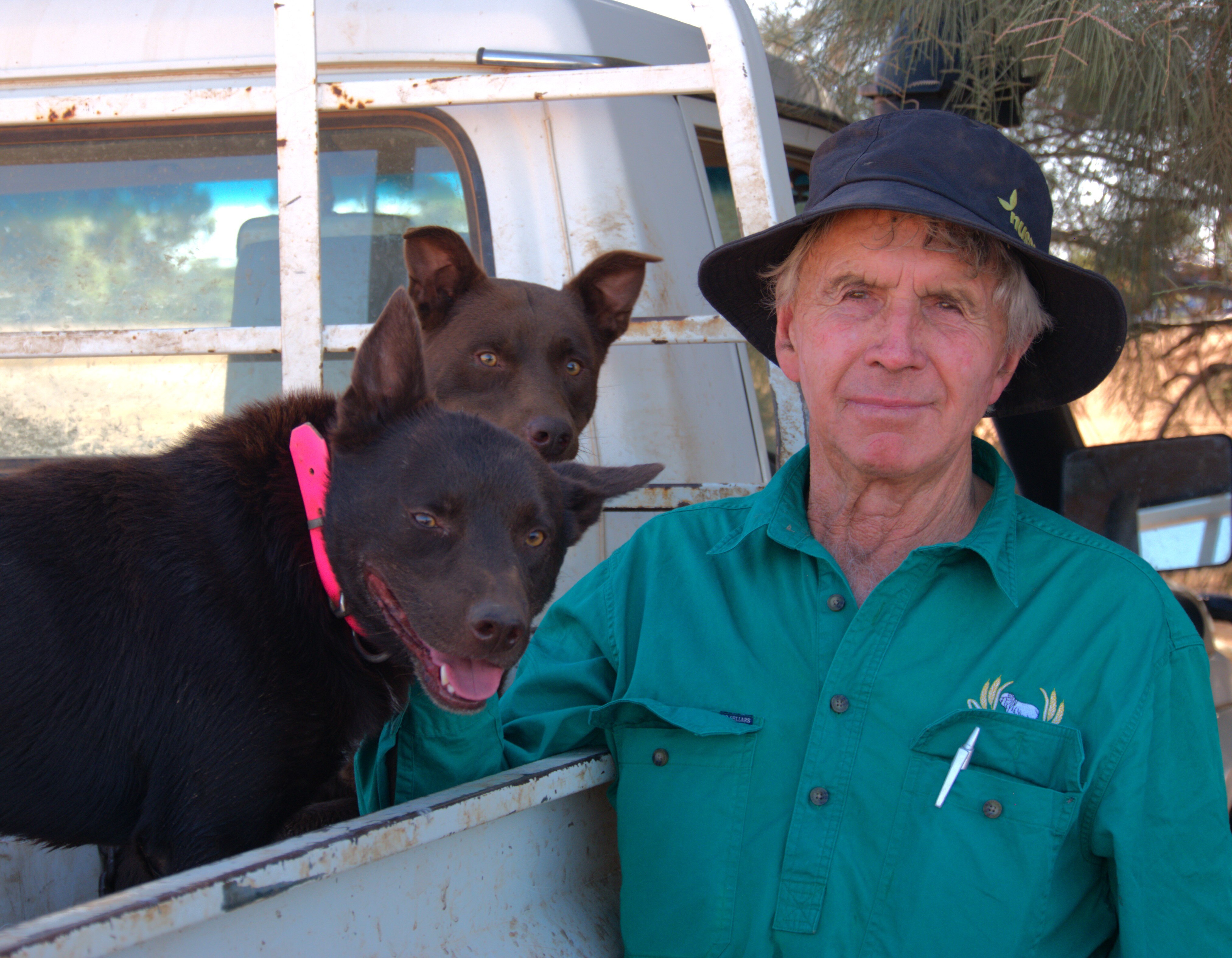 A man with a green shirt on stands next to his two dogs.