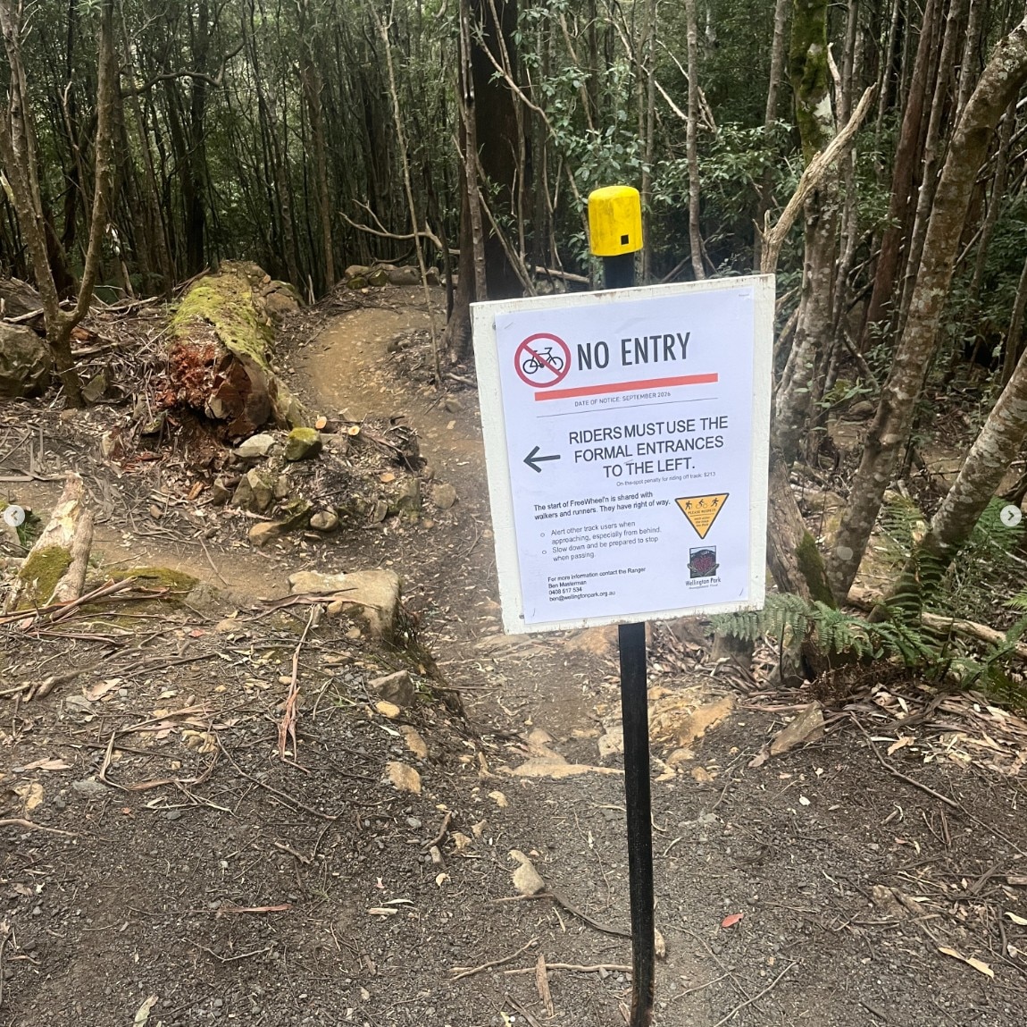 Mountain bike riders clash with walkers on Kunanyi/Mount Wellington ...