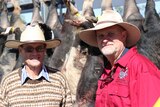 Colin Semple and Matt Weeks boar hunt organisers