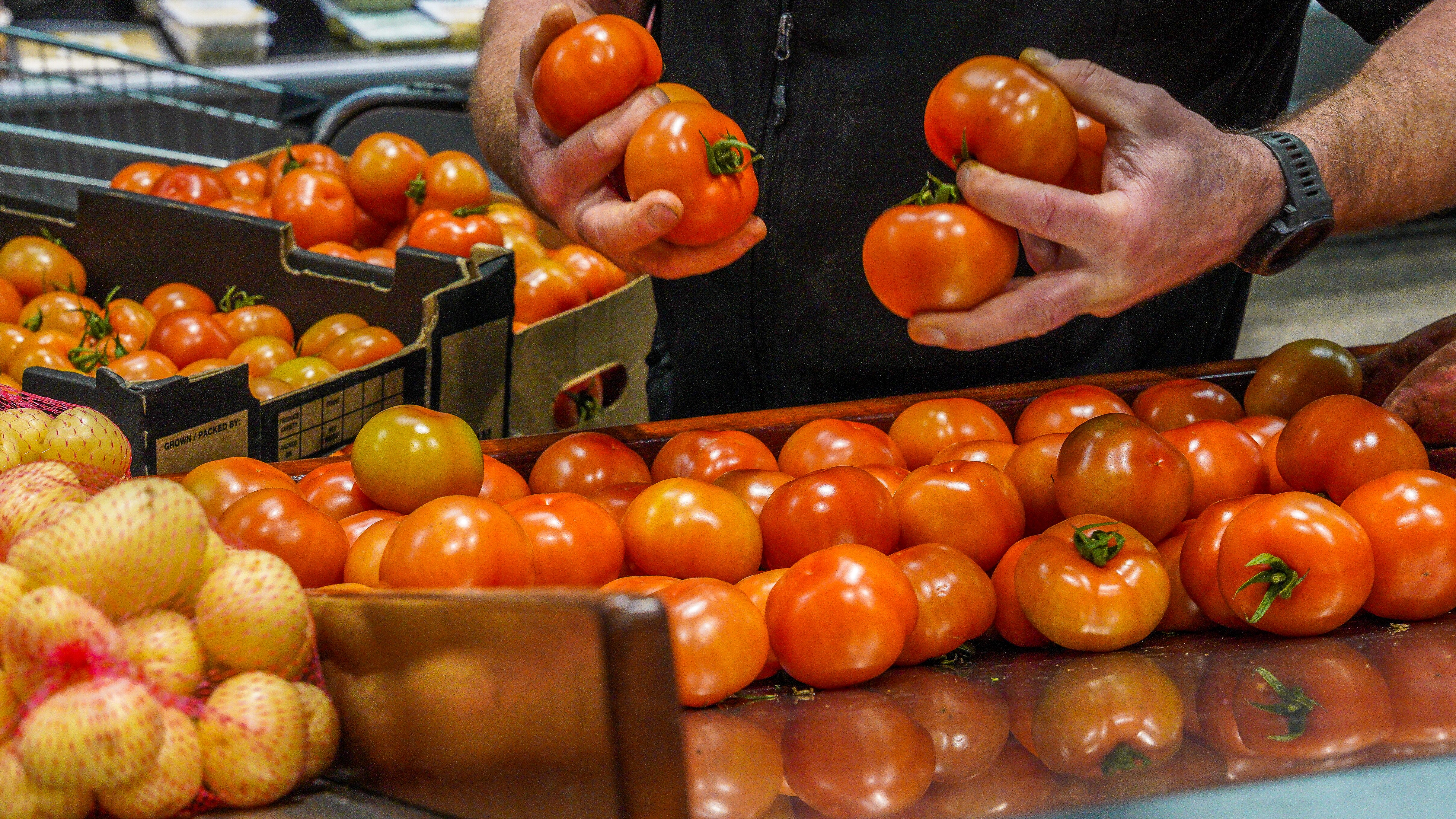 Người bán tạp hóa phân loại cà chua trưng bày