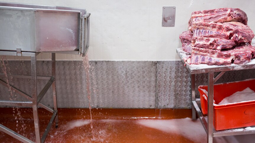 A pile of meat sits on a stainless steel bench covered in salt, next to a vat draining bloody water.