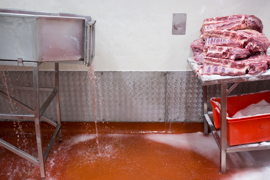 A pile of meat sits on a stainless steel bench covered in salt, next to a vat draining bloody water.
