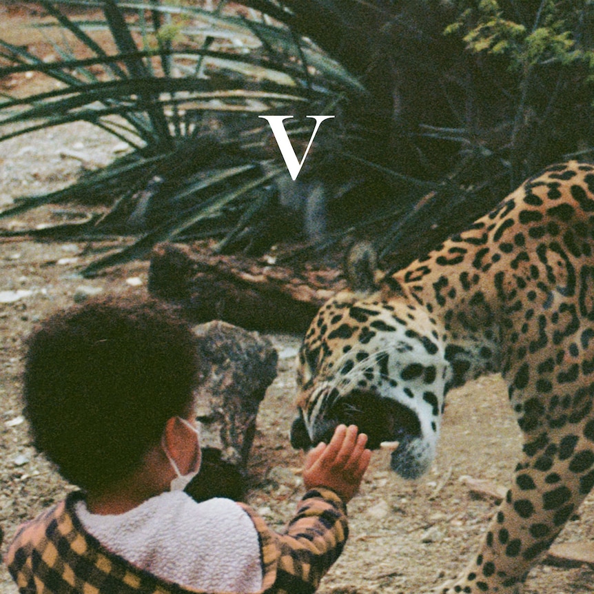 Cover of Unknown Mortal Orchestra's V: leopard behind glass tries to bite hand of child reaching out wearing facemask & jacket