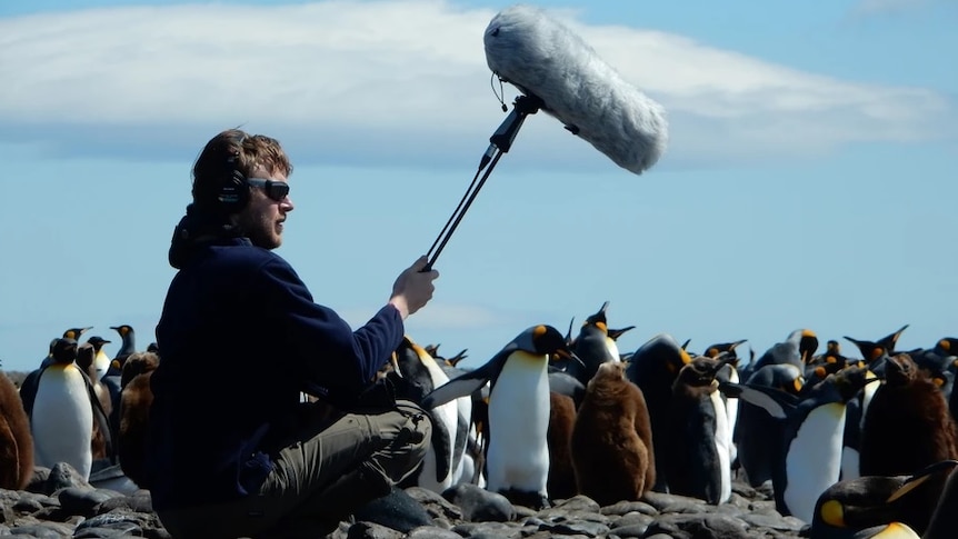 Julien Gauthier holds up a microphone to record the sound of penguins.