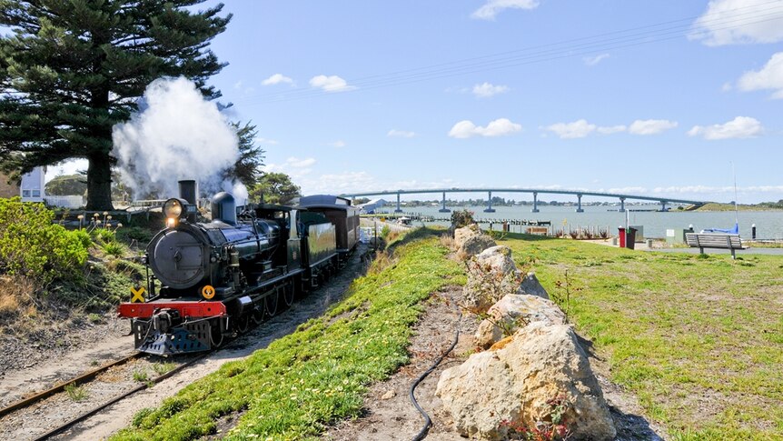 Cockle train