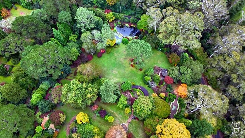 An aerial photo of a garden filled with autumn trees with red and orange leaves.