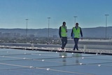 Tom Koutsantonis and Jay Weatherill inspect solar panels on a roof at Adelaide Airport.