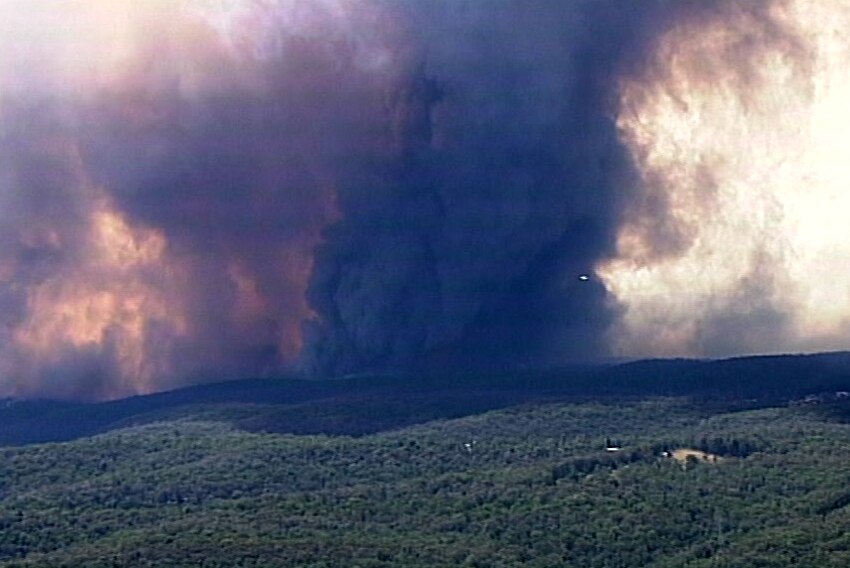 An aerial view of a large plume of smoke and fire burning through dense bushland.