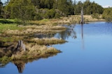 A pond at the Hunter Wetlands National Park, near Newcastle.