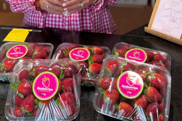 Photo of a packaged punnet strawberries.