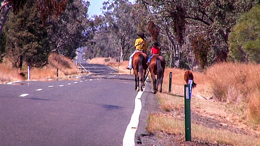 Drovers on horseback walking alongside a road.
