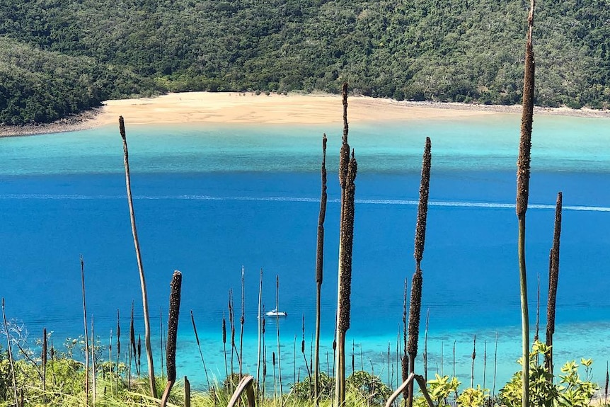 View of a sandy beach on Keswick Island, Queensland