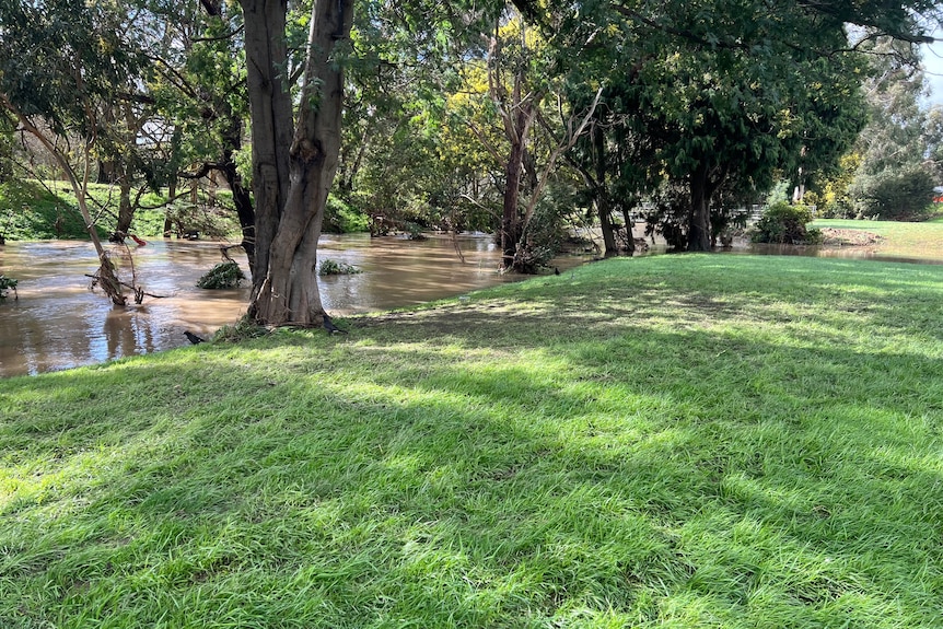 A creek and the grassy bank