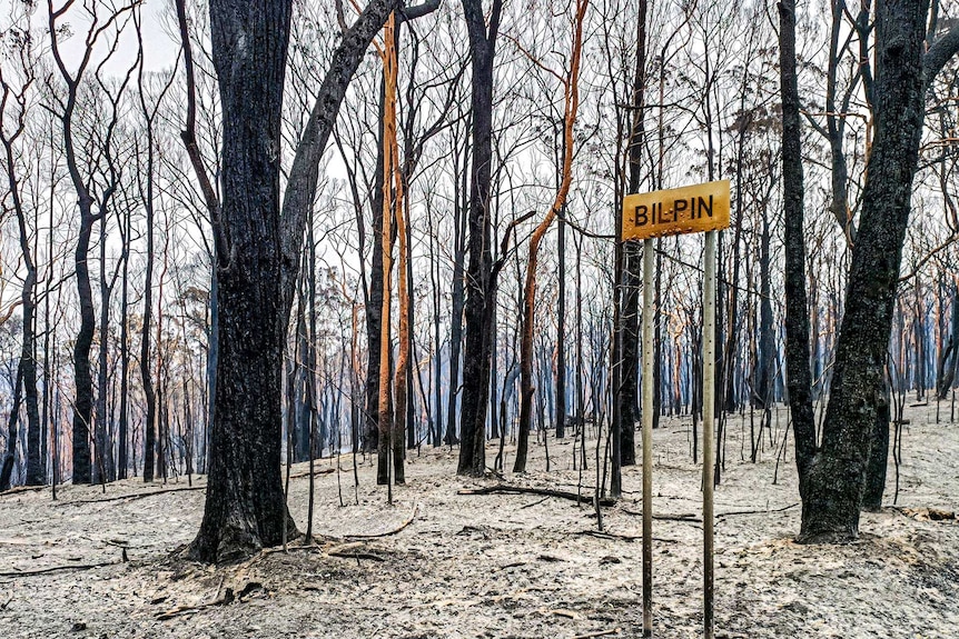 A sign in a burnt out forrest still reads 'bilpin'