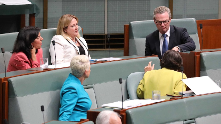 Christopher Pyne sitting on the crossbenchers talking with Cathy McGowan as independent MPs look on