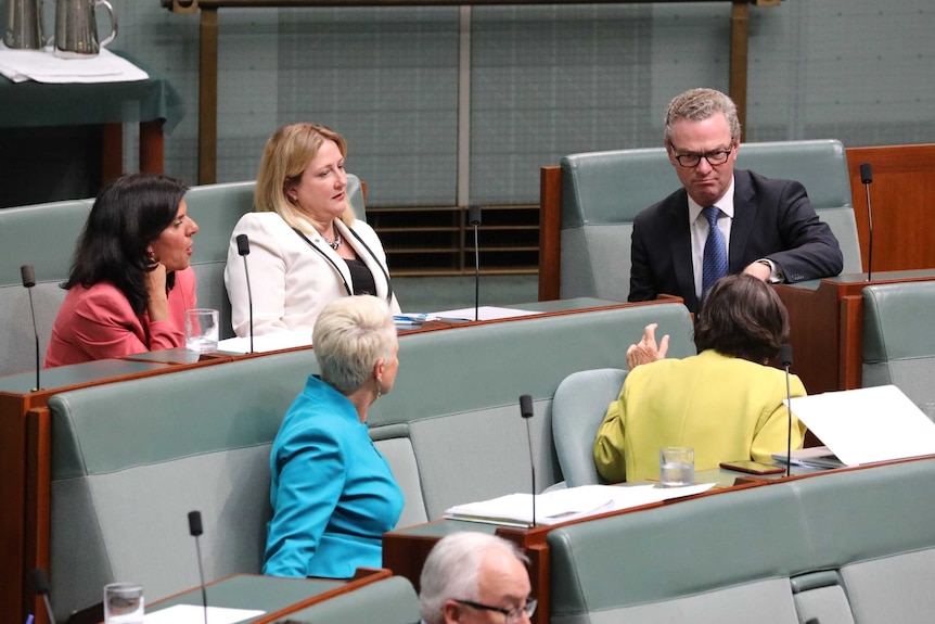 Christopher Pyne sitting on the crossbenchers talking with Cathy McGowan as independent MPs look on