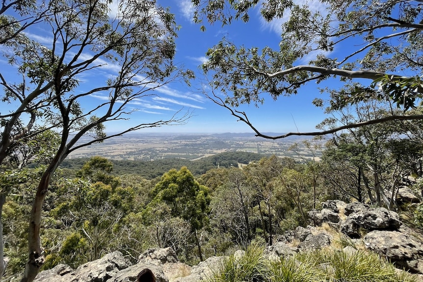 A photo of a view at macedon regional park 