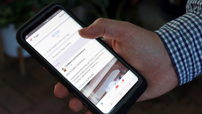 A close up of a smartphone displaying the Canberra Lost Pet Database page on Facebook.