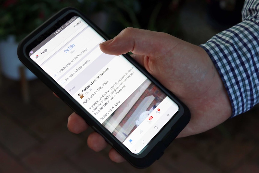 A close up of a smartphone displaying the Canberra Lost Pet Database page on Facebook.