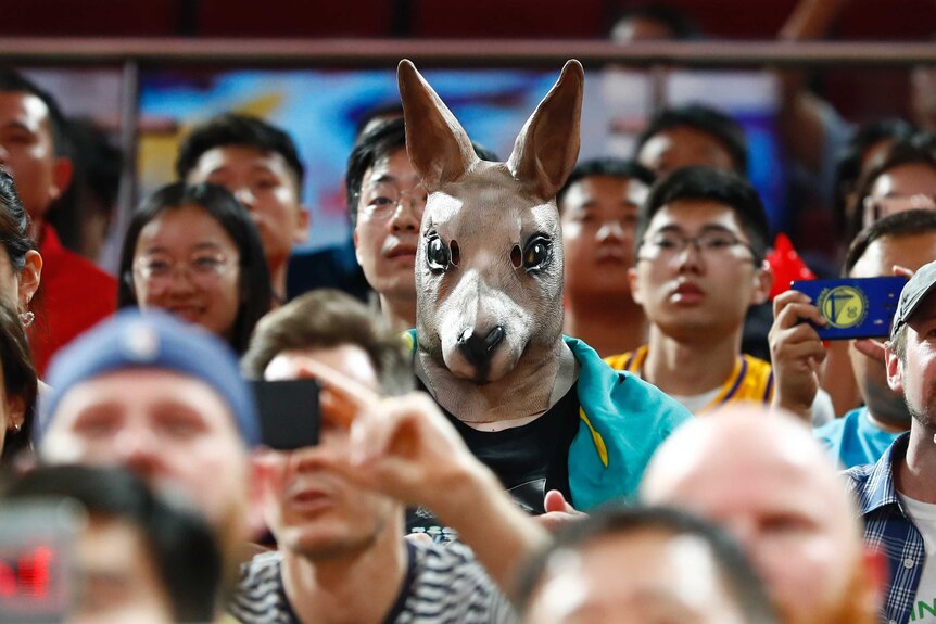 A spectator at the Spain versus Australia FIBA World Cup semi-final sitting in the grandstand wearing a kangaroo mask.