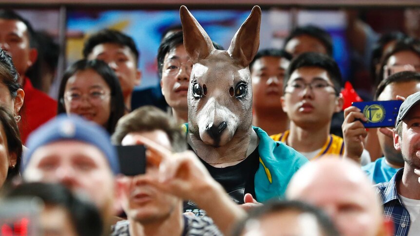 A spectator at the Spain versus Australia FIBA World Cup semi-final sitting in the grandstand wearing a kangaroo mask.