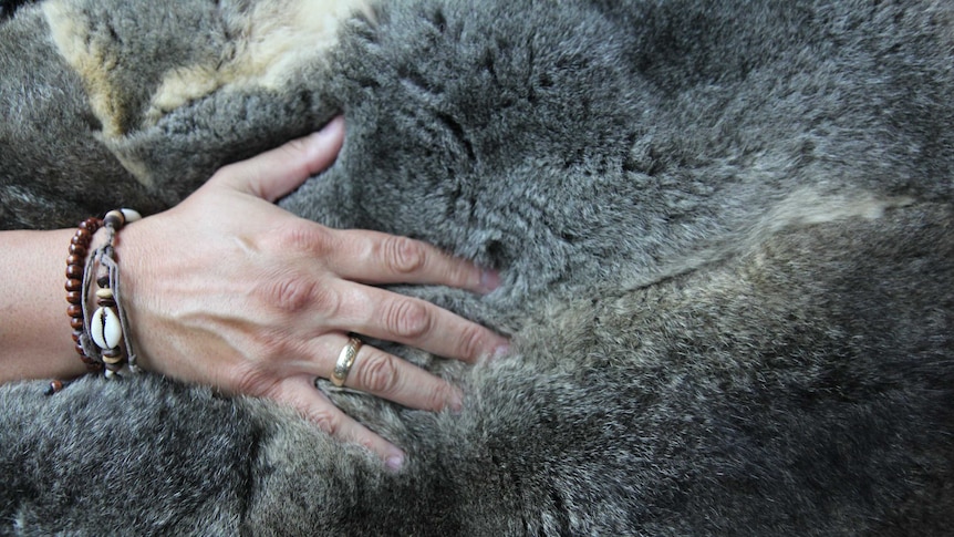 A hand is buried in the soft possum fur of a budbili, traditional Aboriginal cloak.