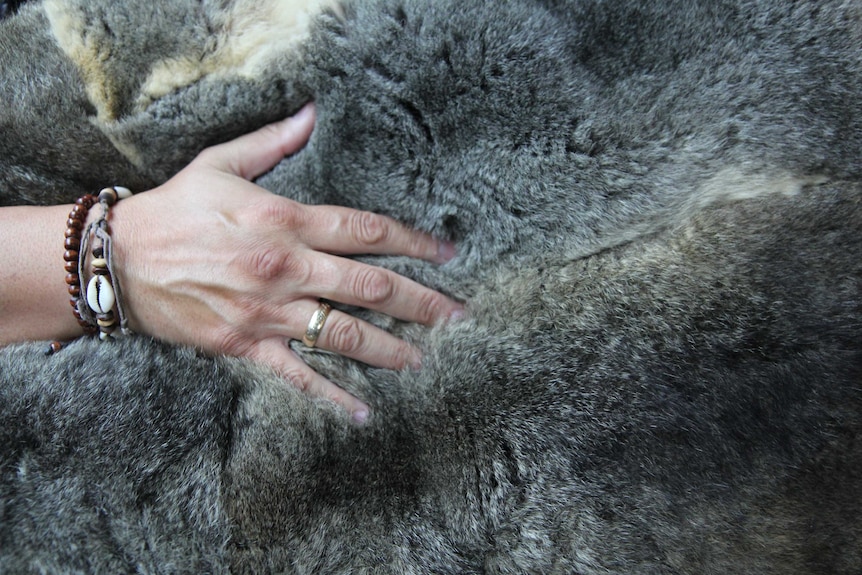 A hand is buried in the soft possum fur of a budbili, traditional Aboriginal cloak.