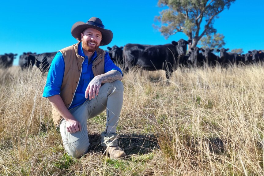 A man kneels in a paddock, with black cattle standing behind him.