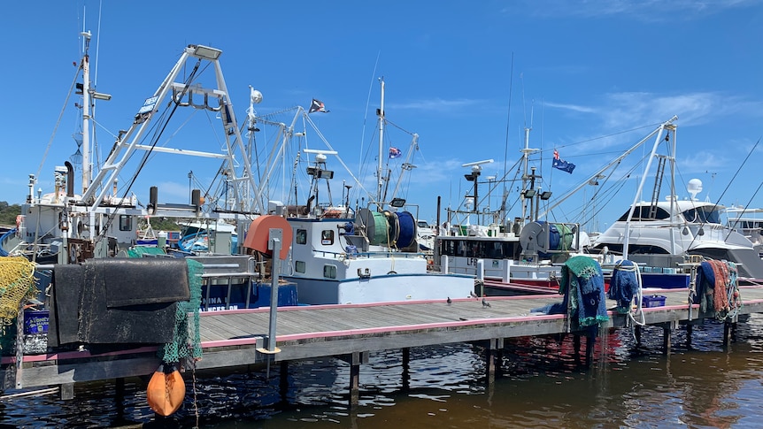 Boats moored at a jetty at Lakes Entrance in Victoria.