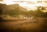 Mountain bike riders at sunset.