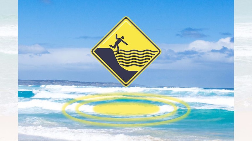 The Pocket Patrol app shows hazards at the beach on a device.