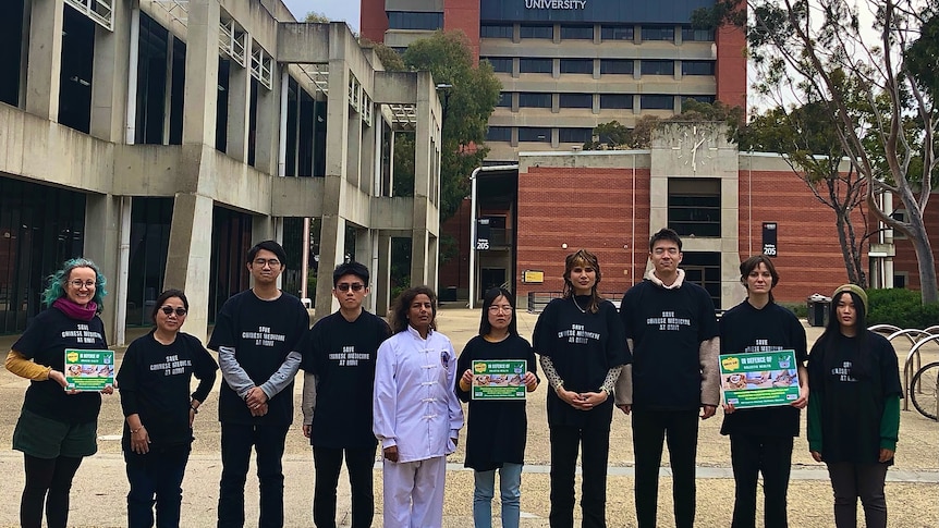 A group of students holding protest posters standing in a line. 