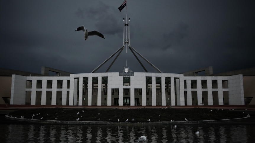Seagulls gather outside the main entrance to Parliament House.