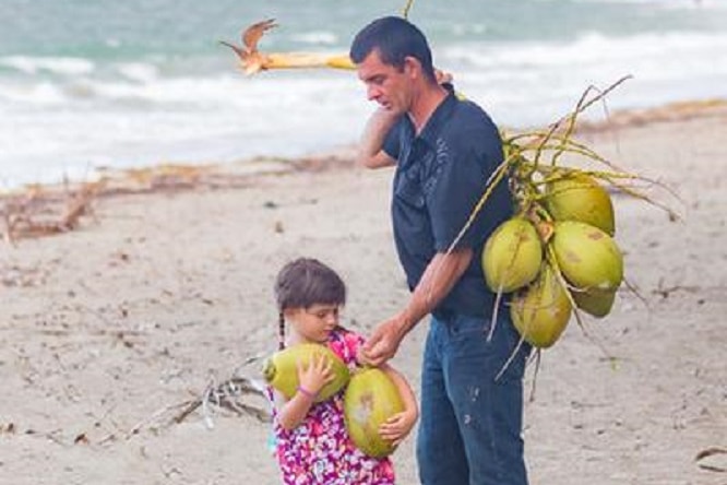 Small girl on a beach holding two coconuts with her father holding a bunch of coconuts