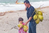 Small girl on a beach holding two coconuts with her father holding a bunch of coconuts