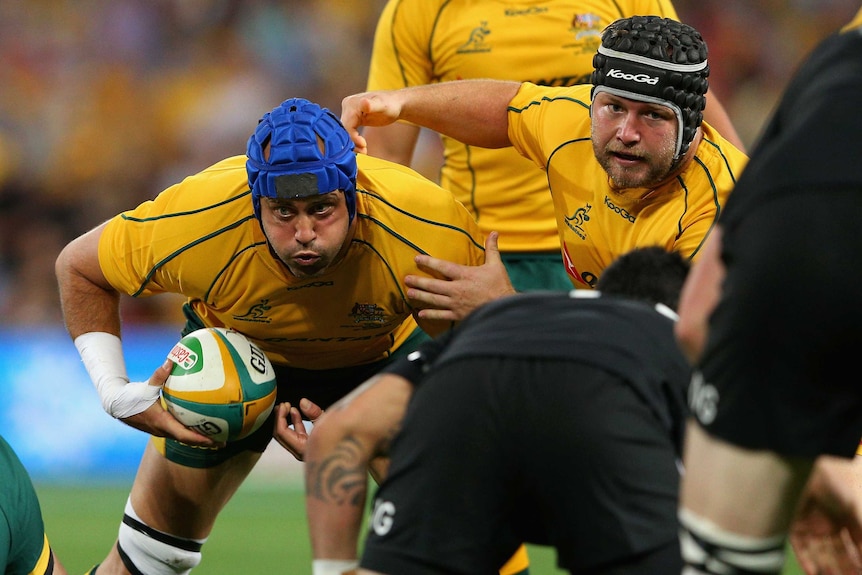 Hard yards: Nathan Sharpe played every single minute of the Rugby Championship and Bledisloe series.