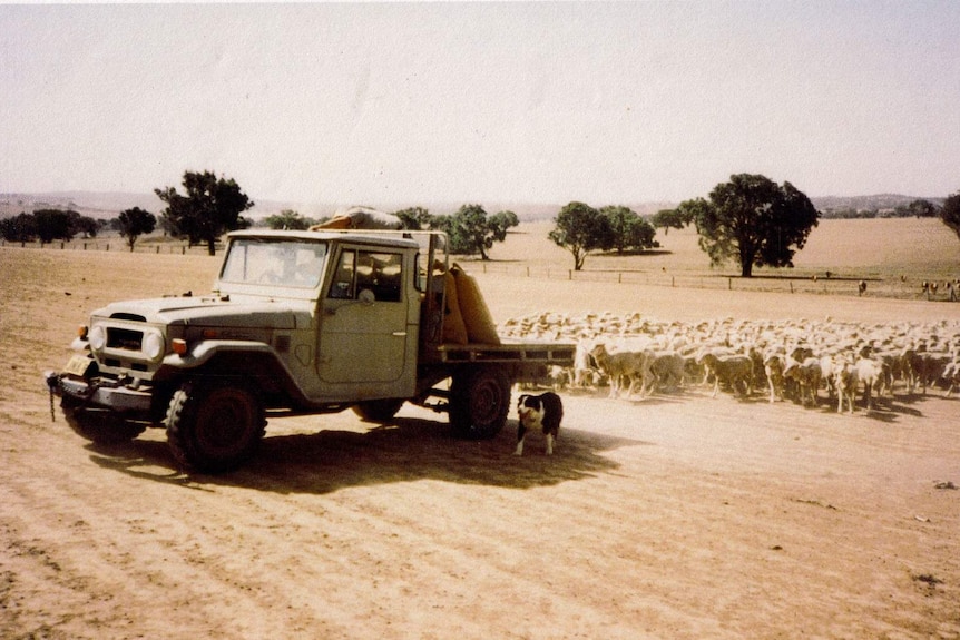 David Marsh's farm 1982