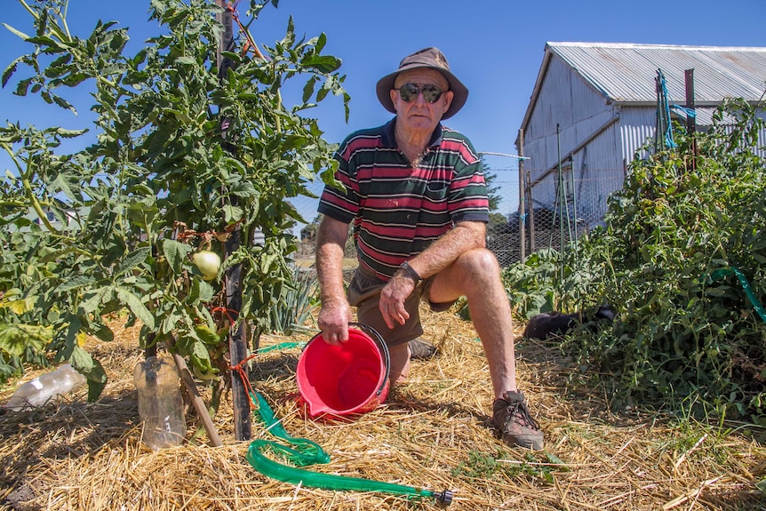 A man kneeling on straw in a vegetable patch holding an empty bucket